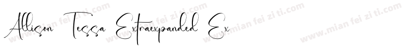 Allison Tessa Extraexpanded Extra字体转换